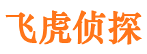 宝塔市调查公司